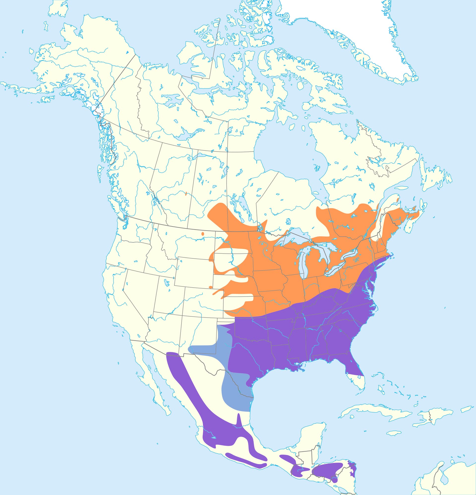 Eastern Bluebird
